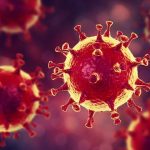 imagen del artículo: Covid 19: El virus con Corona